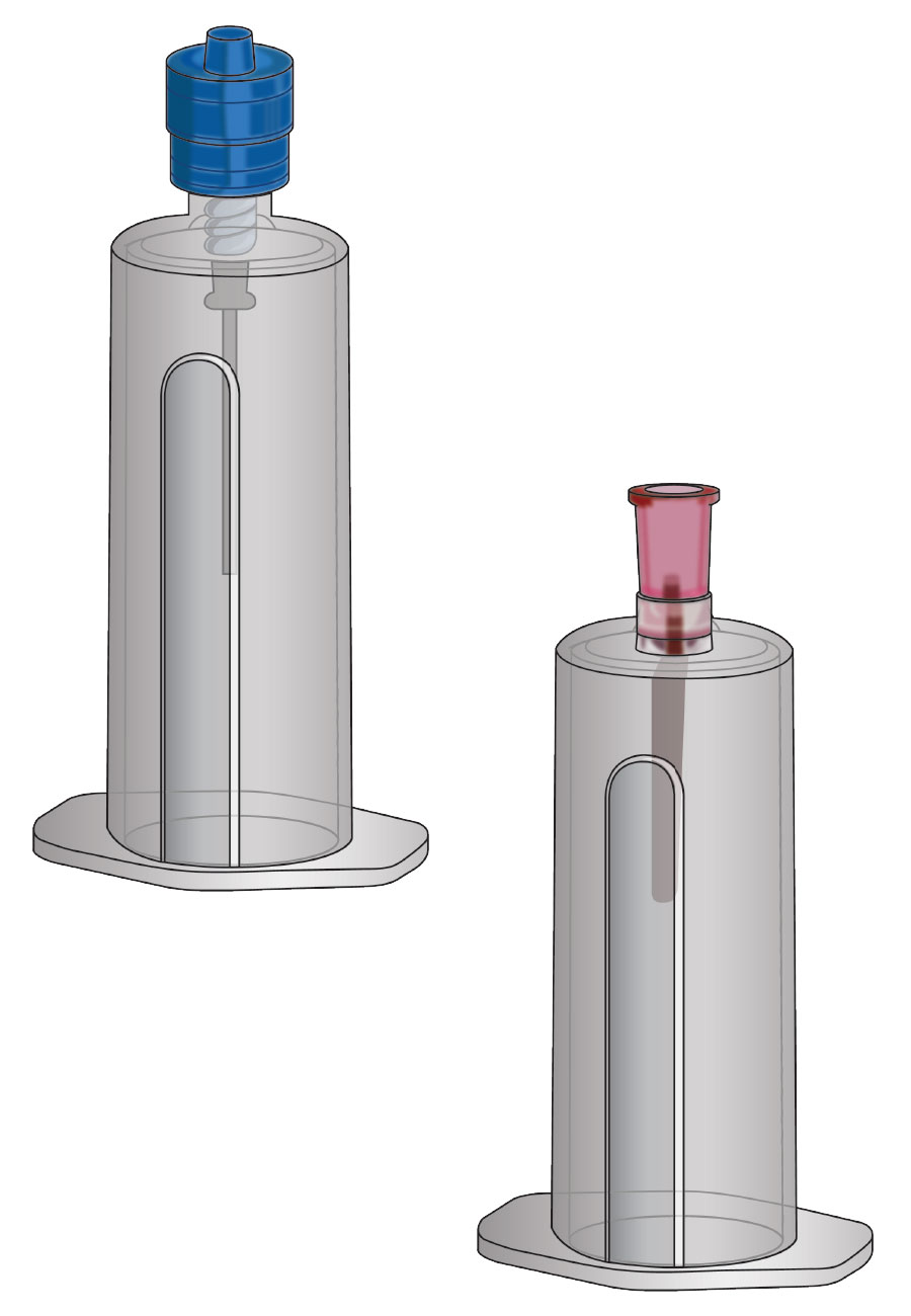 Blood Transfer & Collection